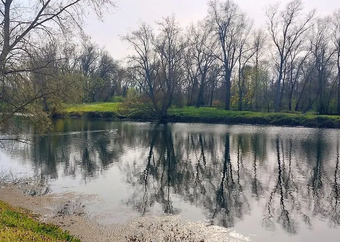 Studio Sur Les Rives D\'Allier
